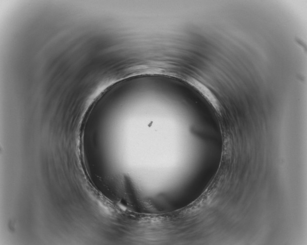 X0000095881051200801251136