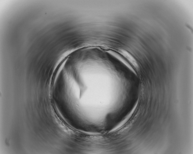 X0000095881052200801251136