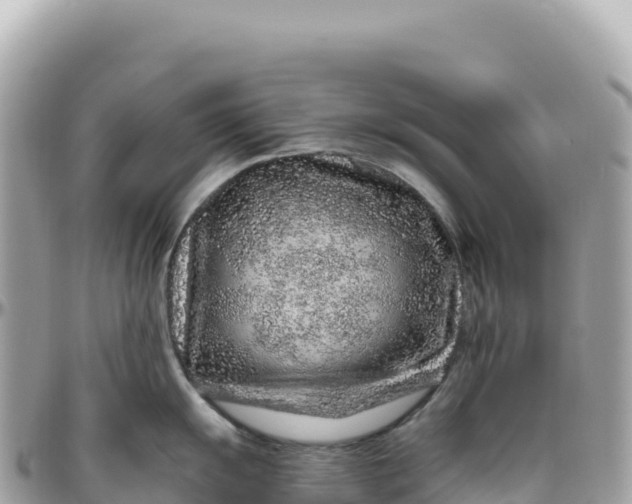 X0000095881055200801251136