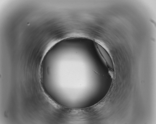 X0000095881056200801251136