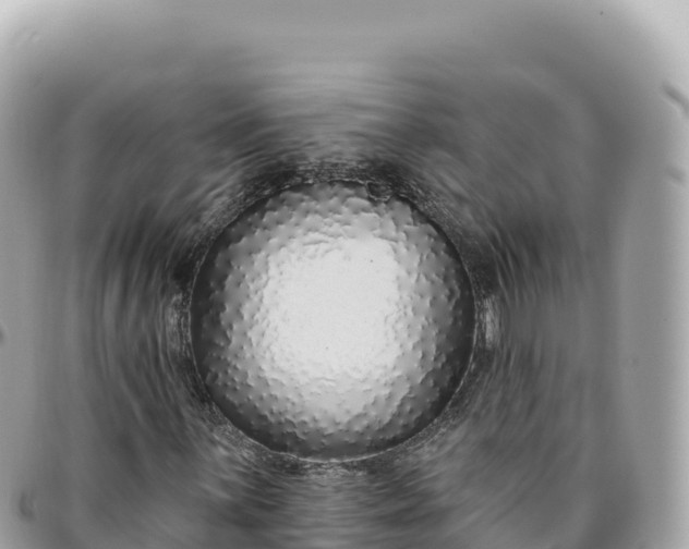 X0000095881059200801251135