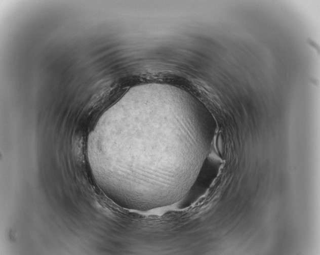 X0000095881060200801251135