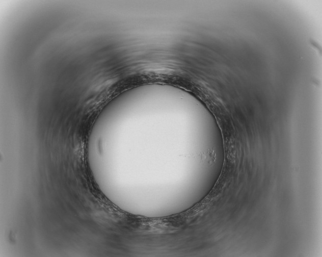 X0000095881061200801251135