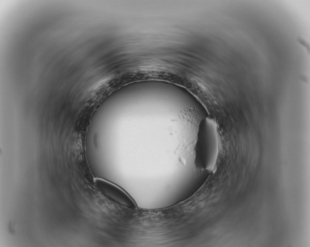 X0000095881062200801251135