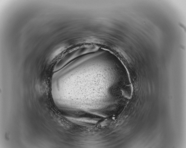 X0000095881064200801251135