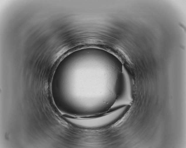 X0000095881065200801251135