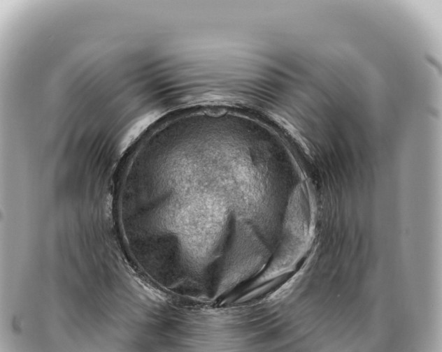 X0000095881066200801251135