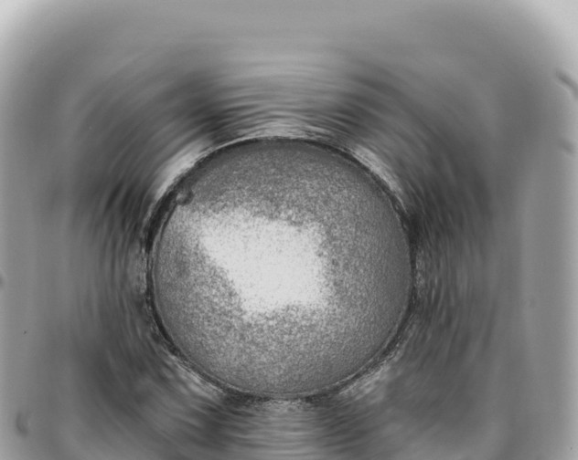 X0000095881067200801251135