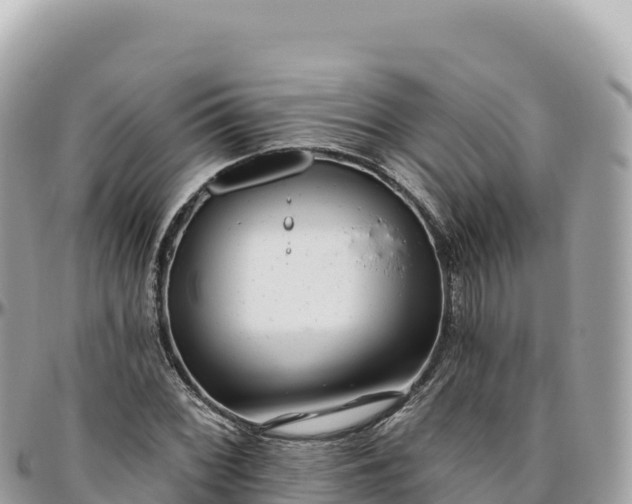 X0000095881068200801251135