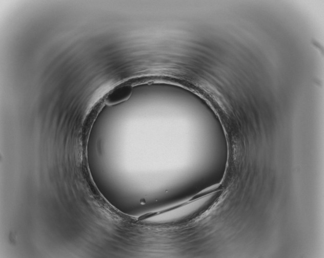 X0000095881069200801251135