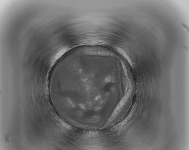 X0000095881071200801251135