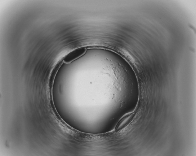 X0000095881072200801251135