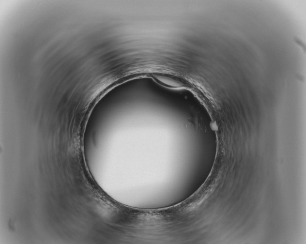 X0000095881073200801251135