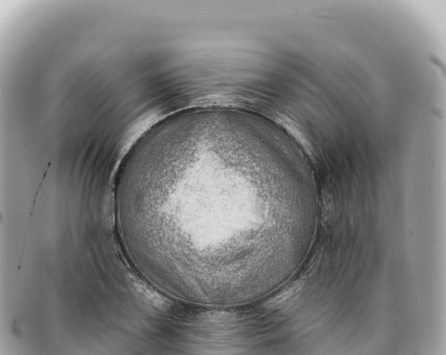 X0000095881075200801251135