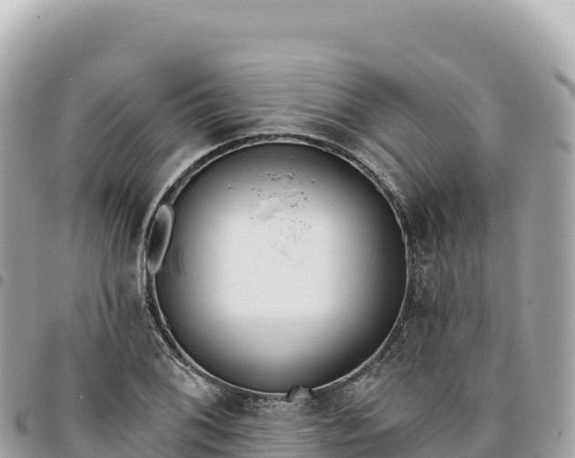 X0000095881076200801251135