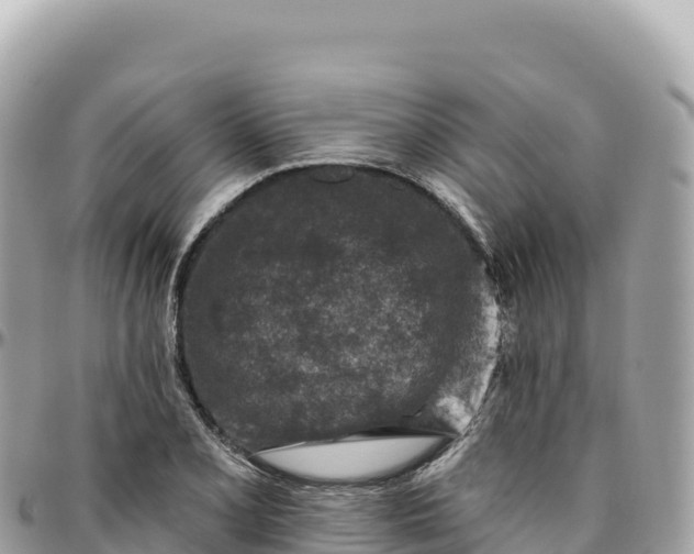 X0000095881077200801251135