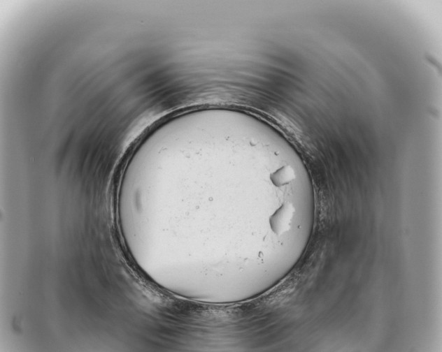 X0000095881078200801251135