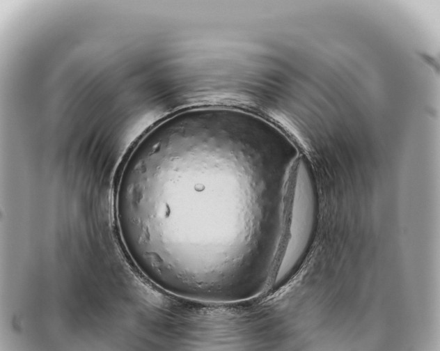 X0000095881079200801251135