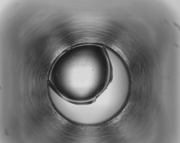 X0000095881081200801251135