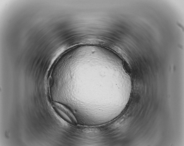 X0000095881083200801251135