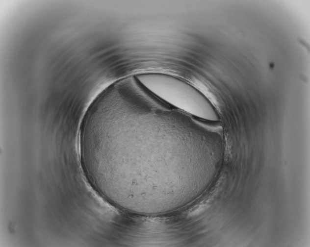 X0000095881084200801251135