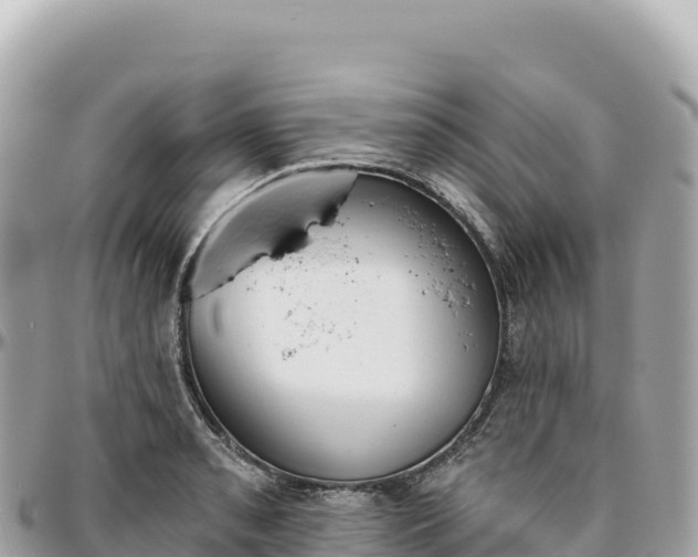 X0000095881085200801251135