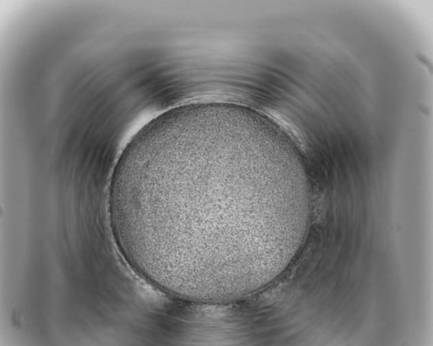 X0000095881086200801251135