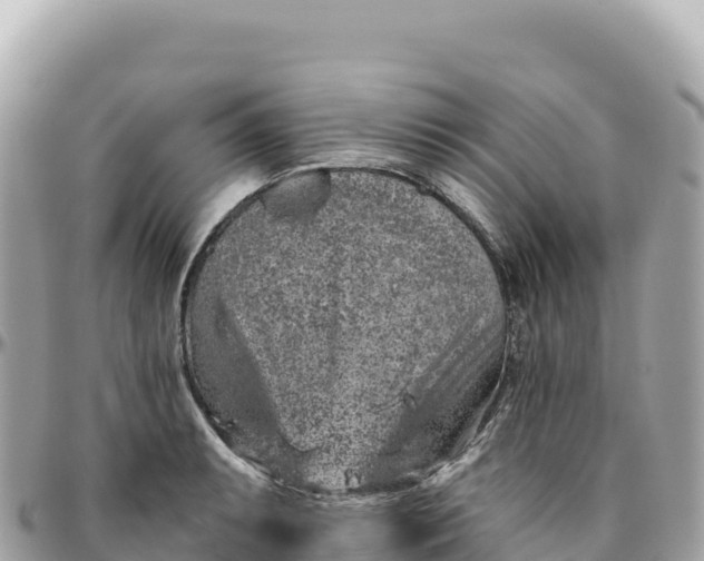 X0000095881087200801251135