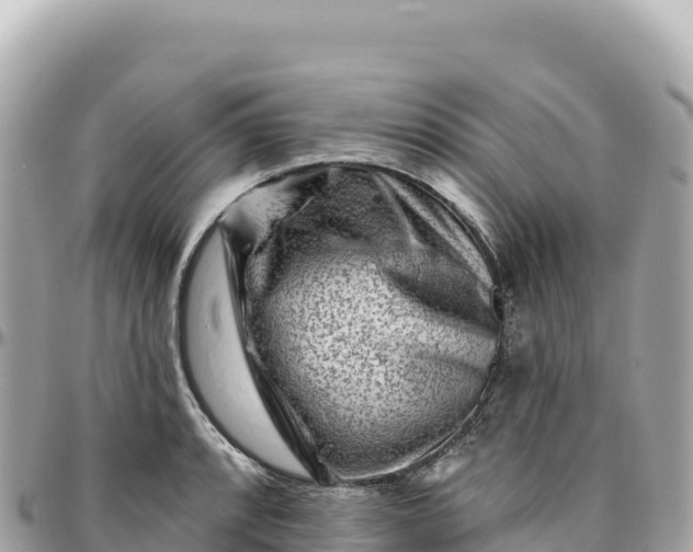 X0000095881088200801251135