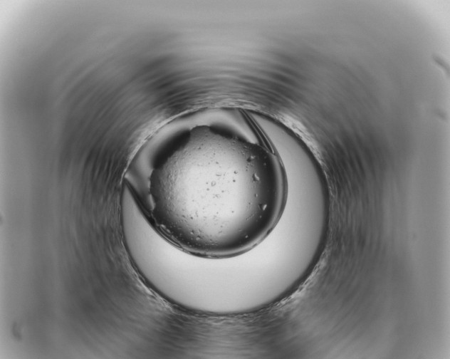 X0000095881089200801251135