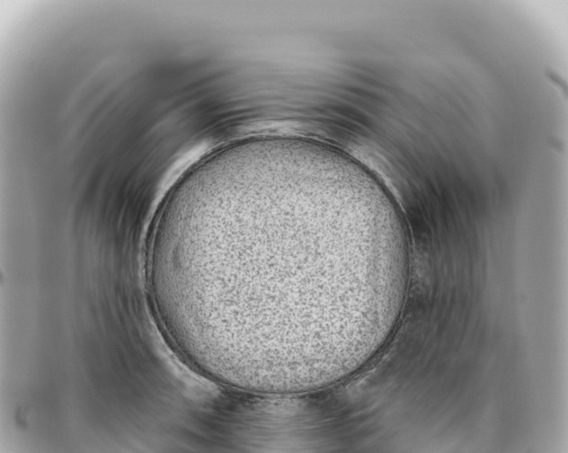 X0000095881090200801251135