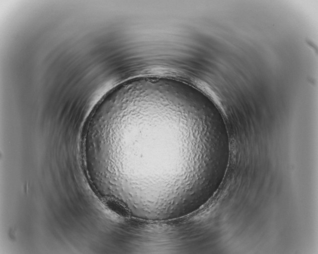 X0000095881091200801251135