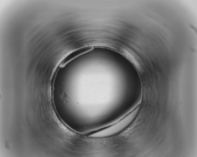 X0000095881092200801251135