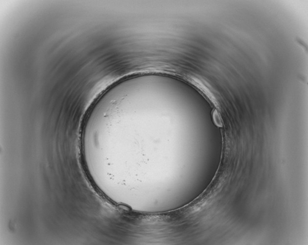 X0000095881093200801251135