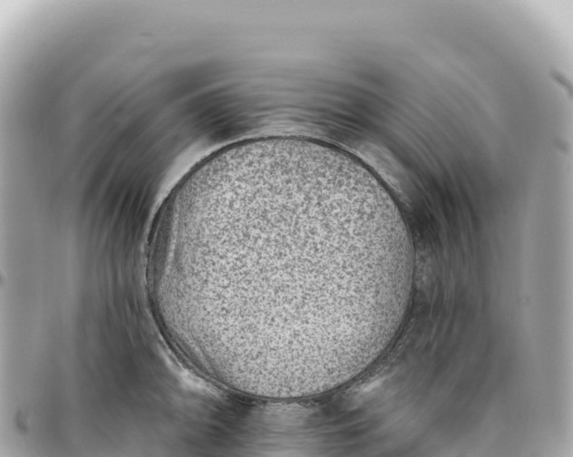 X0000095881094200801251135