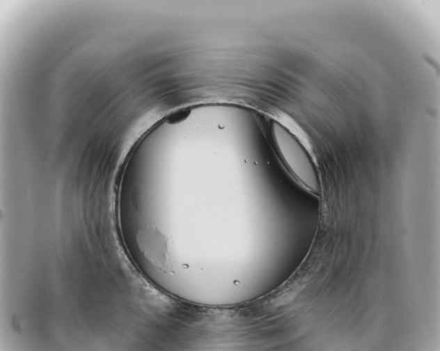 X0000095881096200801251135