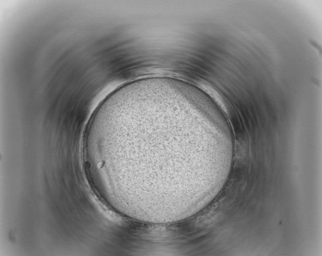 X0000095881098200801251135