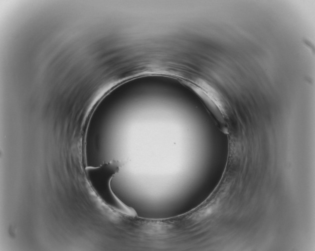 X0000095881100200801251135