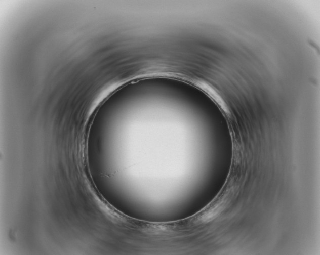 X0000095881101200801251135