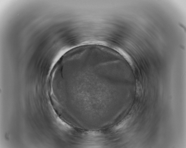 X0000095881102200801251135