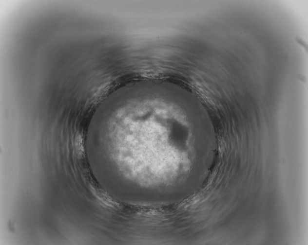 X0000095881106200801251134