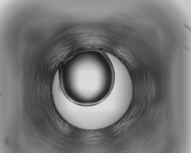 X0000095881108200801251134