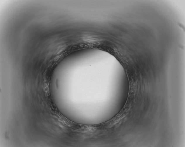 X0000095881109200801251134