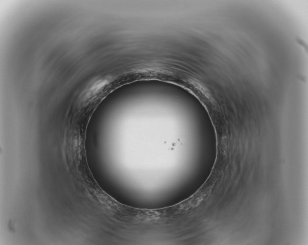 X0000095881111200801251134