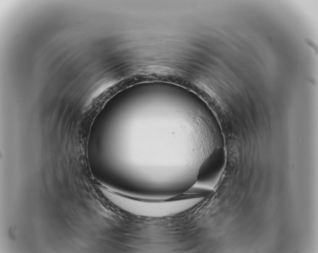 X0000095881112200801251134