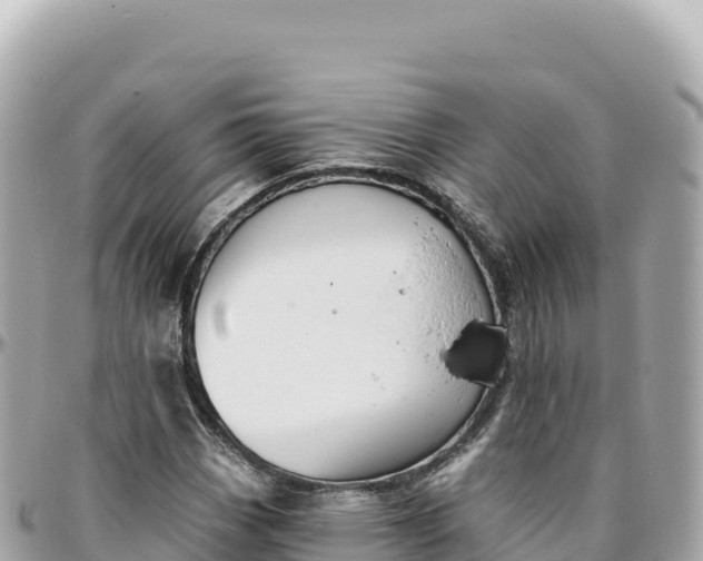 X0000095881113200801251134