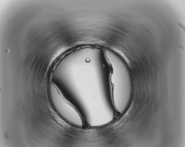 X0000095881114200801251134