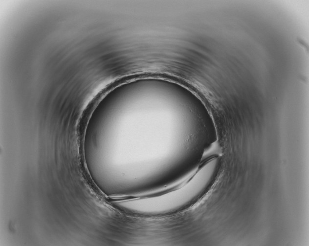 X0000095881118200801251134