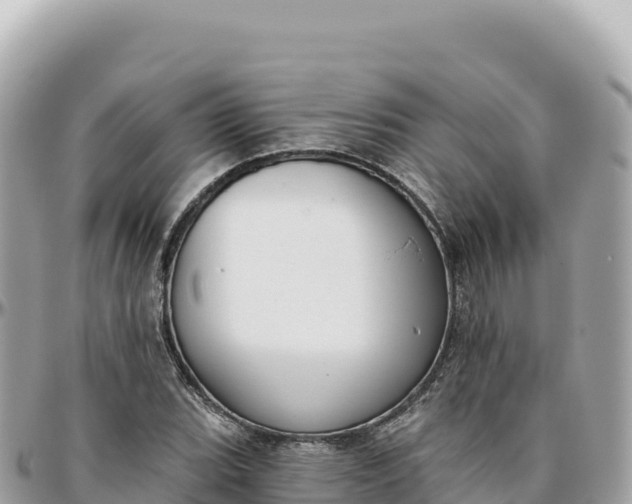 X0000095881119200801251134