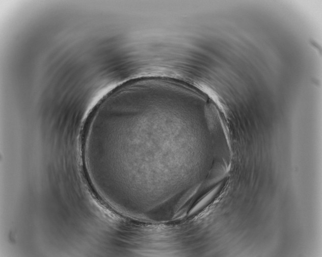 X0000095881120200801251134